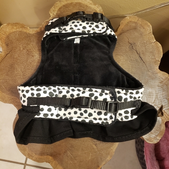 Top paw harness & leash - Picture 3 of 6